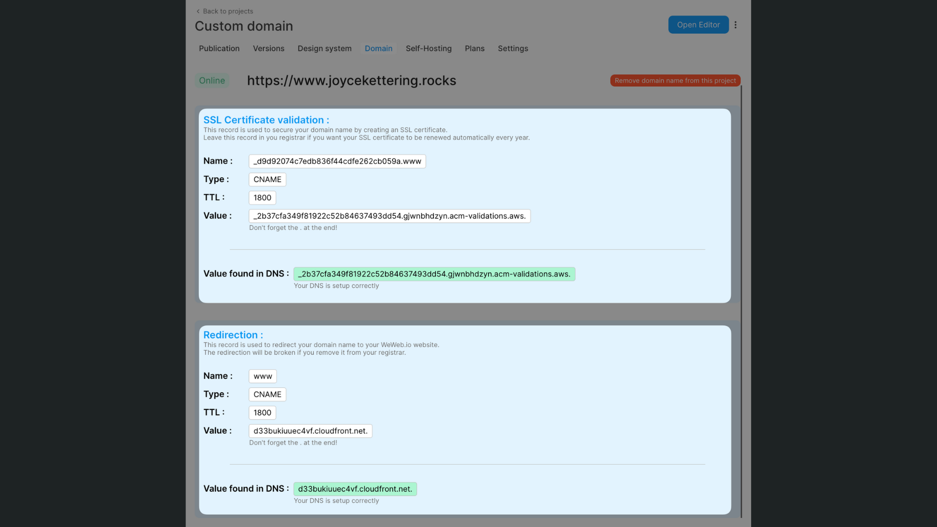 DNS info to copy from WeWeb
