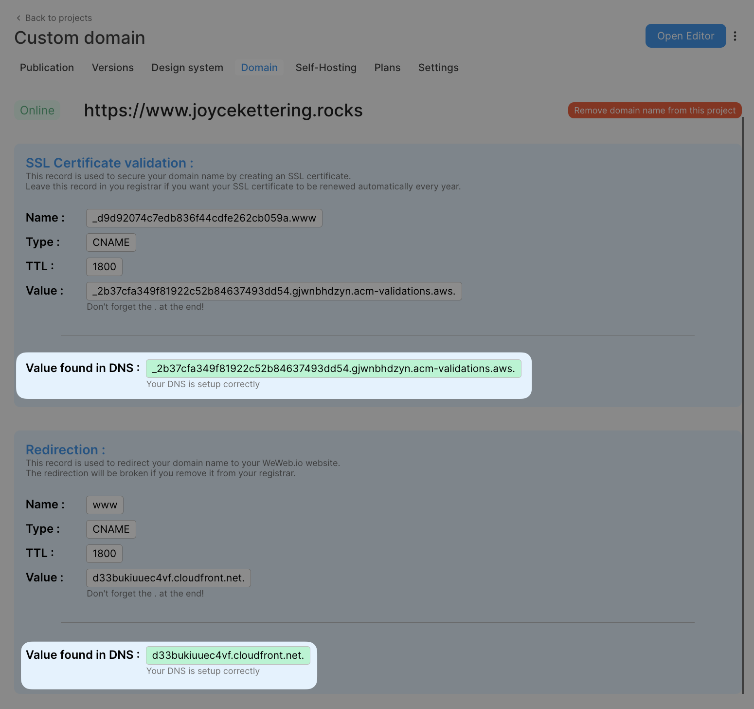 Check that DNS records are setup properly