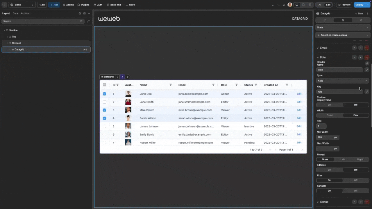 Using Datagrid Custom Column