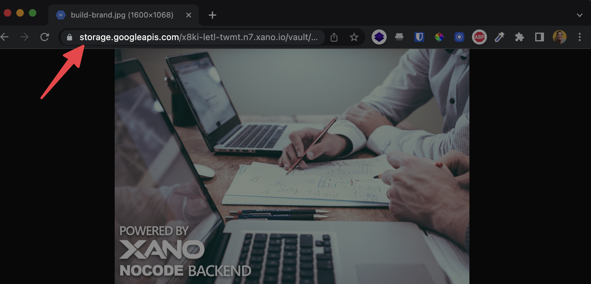 File URL example in a browser